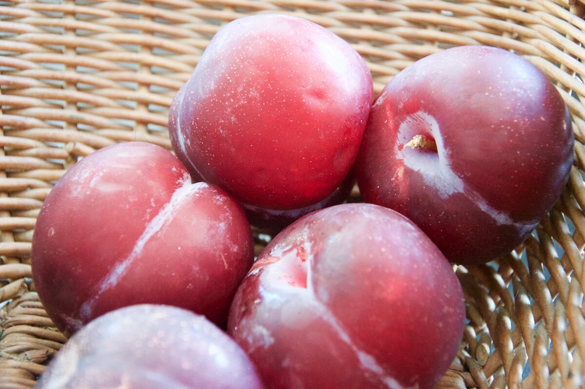 plum for baby constipation