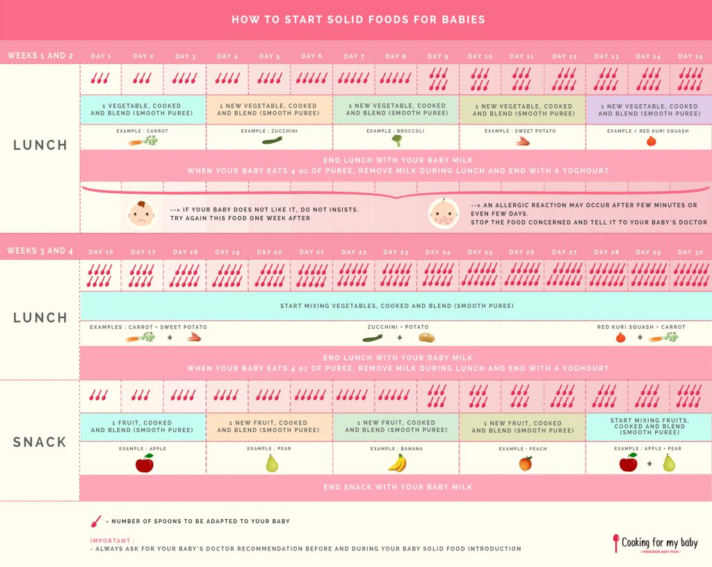 How to start solid foods for babies? (30-day schedule)