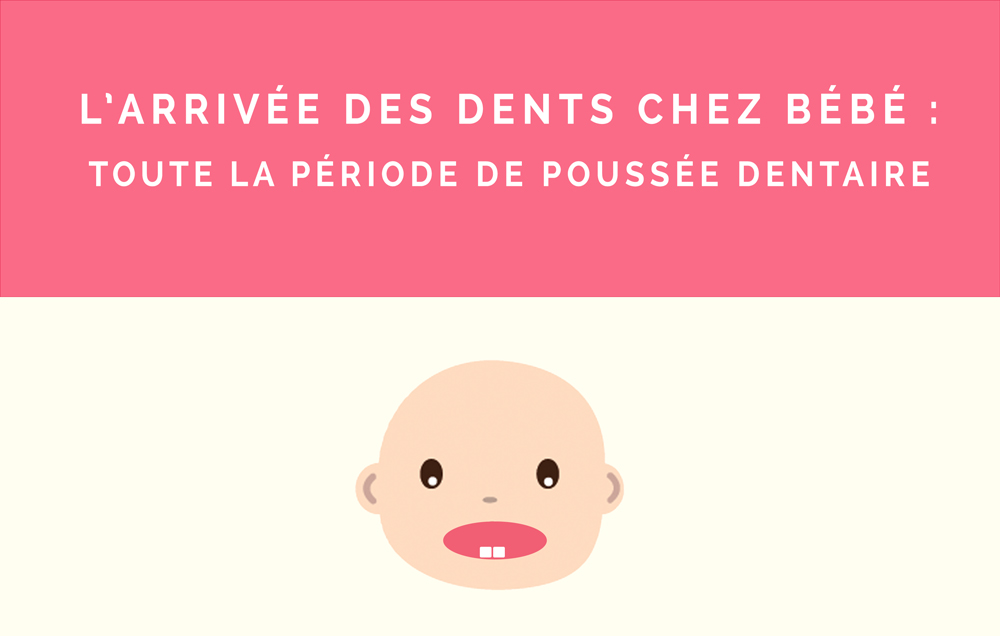Poussée dentaire de bébé : toute la période d'arrivée des dents de