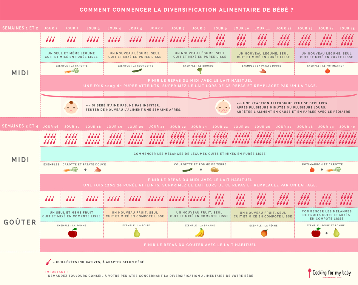 Diversification alimentaire de bébé : Comment démarrer ? (Guide et
